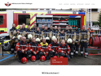 Feuerwehr-ribe.ch