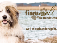 Finnswelt.ch