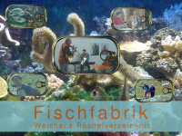 Fischfabrik.ch