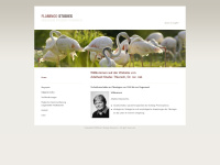 flamingo-studies.ch