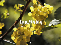 hermann.ch