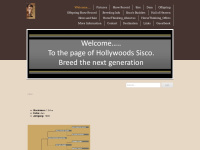 hollywoods-sisco.ch