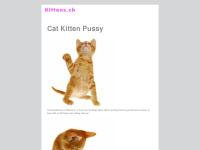 Kittens.ch