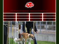 windhund-interessengemeinschaft.ch