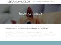 Leschihuahuas.ch