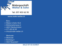 maler-welter.ch