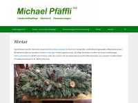 Michael-pfaeffli.ch