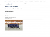 mountain-flyers-hockey.ch