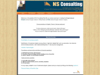 nsconsulting.ch
