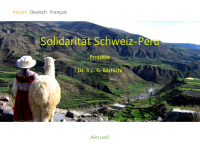 solidaritaet-schweiz-peru.ch