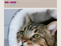 sos-chats.ch