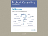tschudi-consulting.ch