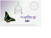 urs-walliser-ag.ch