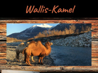 wallis-kamel.ch