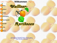 walliser-aprikosen.ch