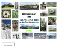 berg-ski.ch