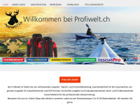 Profiwelt.ch