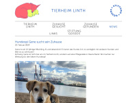tierheim-linth.ch