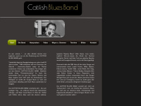 catfish-blues-band.ch