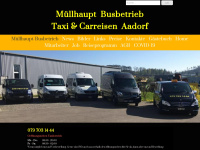Muellhaupt-busbetrieb.ch