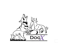 dogx.ch