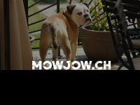 Mowjow.ch