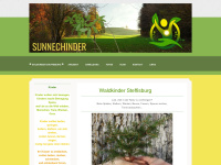 Sunnechinder.ch