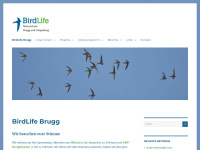 Birdlife-brugg.ch