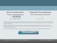 borerconsulting.ch