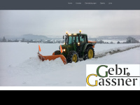 Gebr-gassner.ch