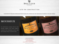 bouvier-freres.ch