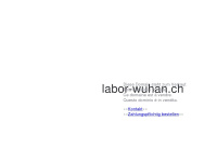 labor-wuhan.ch