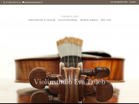violinlektionen.ch