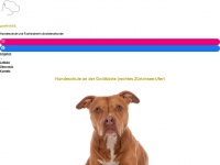 Goldhunde.ch