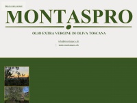 montaspro.ch