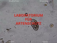 Laboratorium-fuer-artenschutz.ch