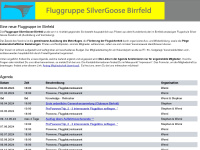 Fluggruppe-silvergoose.ch