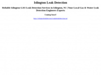 Islingtonleakdetection.londonleakdetection.net