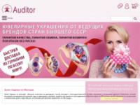 Auditor585.de