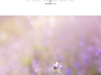 Mosberger-design.ch