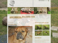 continentalbulldogs.ch